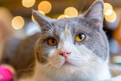 《漫威蜘蛛侠2》首个演示观看接近2000万 官方确认演示来自于旧版本